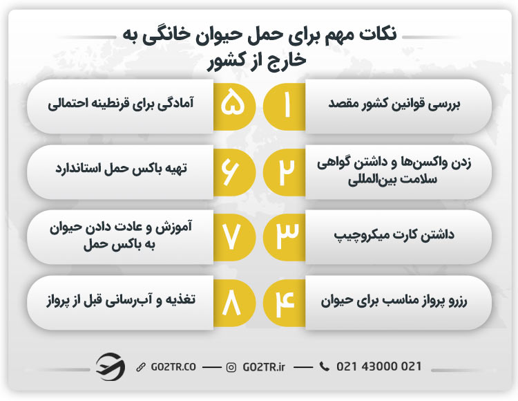 نکات مهم برای حمل حیوان خانگی به خارج از کشور