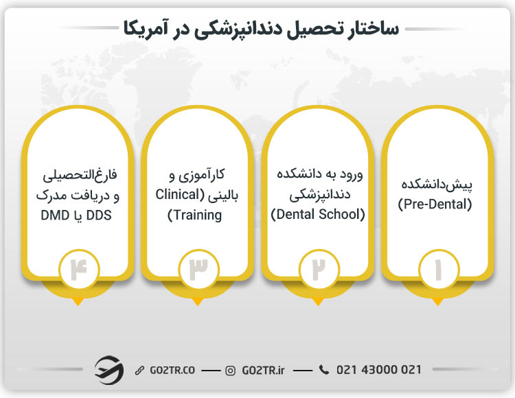 ساختار تحصیل دندانپزشکی در آمریکا