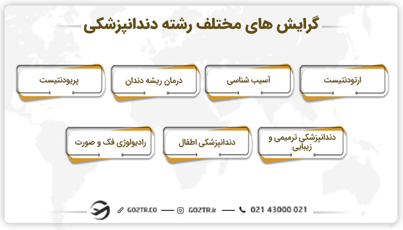 گرایش‌ های مختلف رشته دندانپزشکی