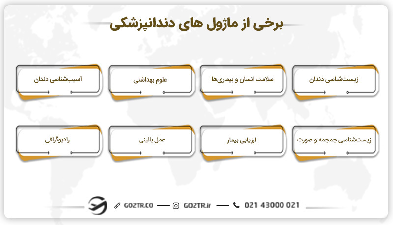 ساختار تحصیلی رشته دندانپزشکی