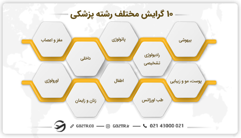 گرایش‌ های مختلف رشته پزشکی