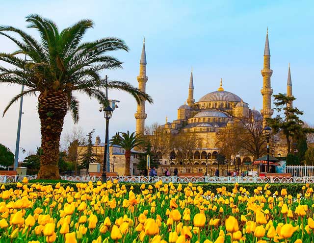 تور ویژه استانبول