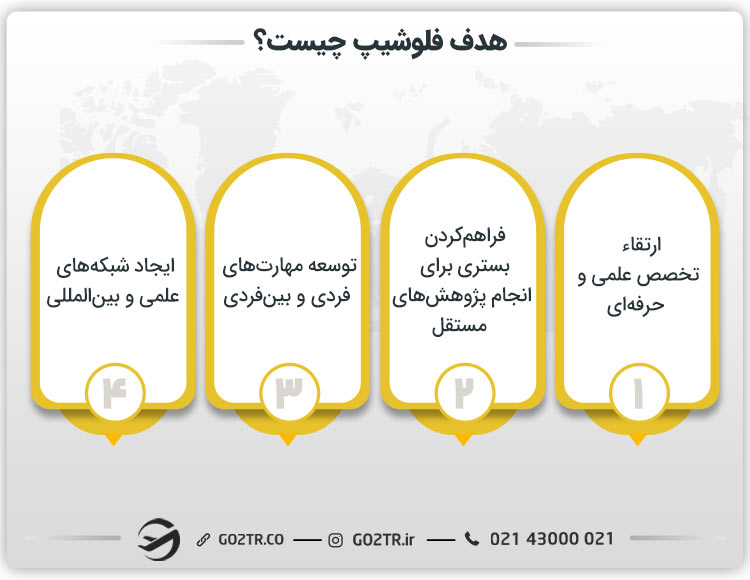 هدف فلوشیپ چیست؟