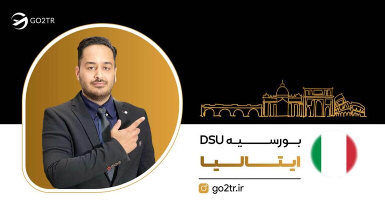 DSU-scholarship