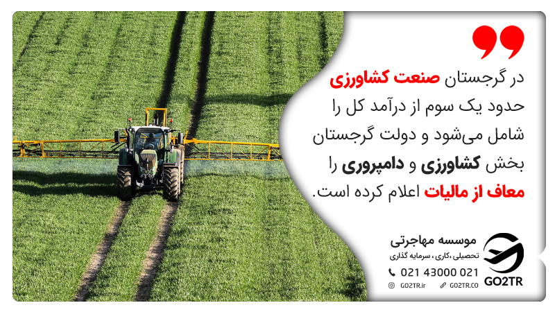 وضعیت اقتصادی کشور گرجستان 
