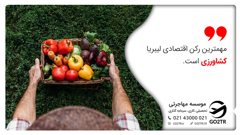 اقتصاد و منابع مالی و درآمدی لیبریا