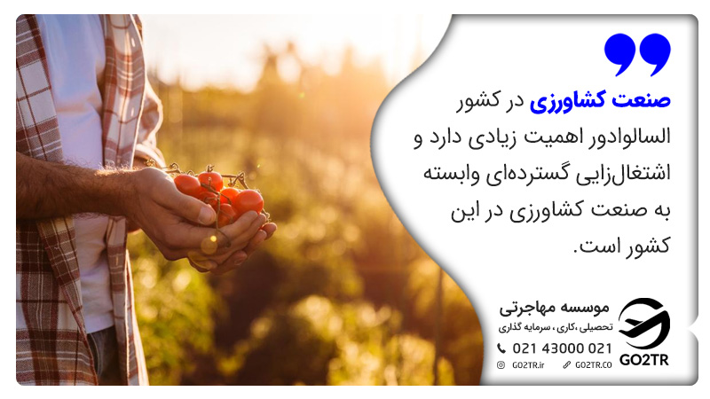 زندگی در السالوادور و صنعت کشور السالوادور 