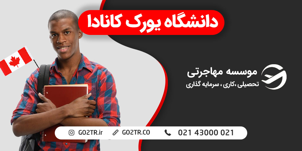 دانشگاه یورک کانادا
