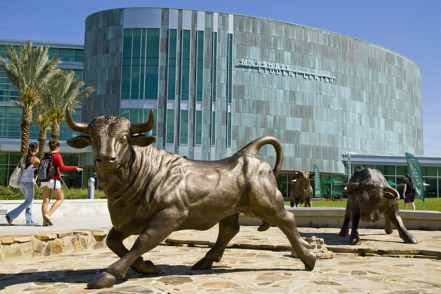 دانشگاه فلوریدا جنوبی (University of South Florida)