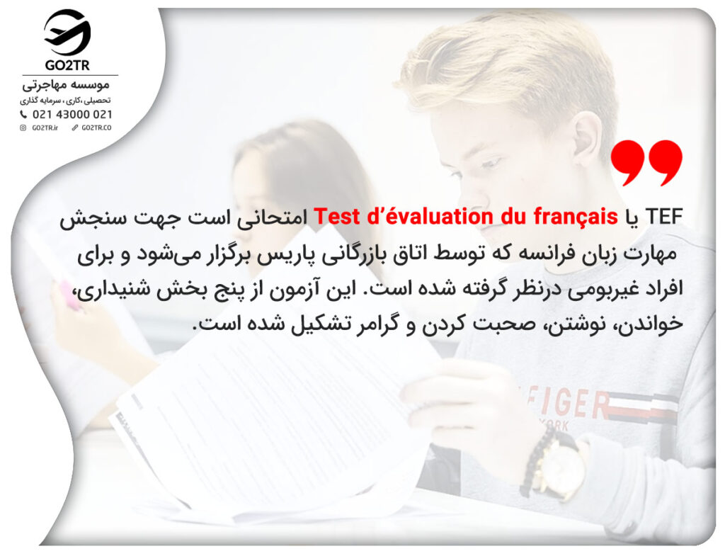 آزمون TEF