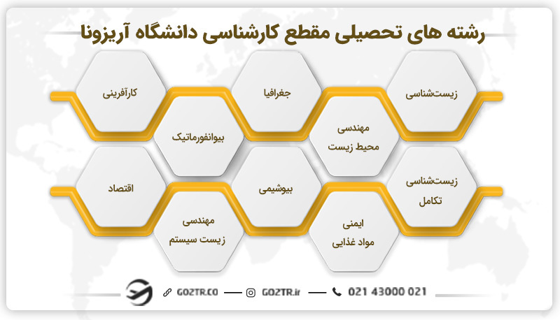 رشته های دانشگاه آریزونا آمریکا
