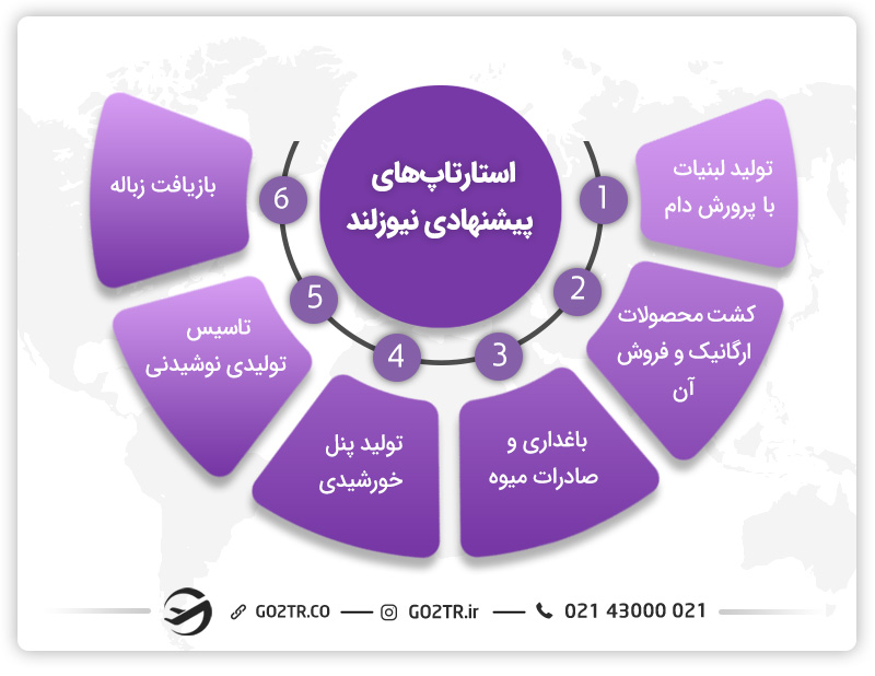 برنامه استارتاپ نیوزلند و انواع آن