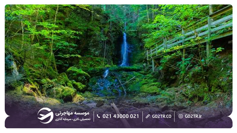 پارک ملی فاندی در ایالت نیوبرانزویک کانادا