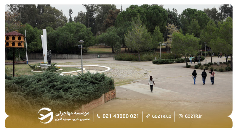 دانشگاه چوکوروا