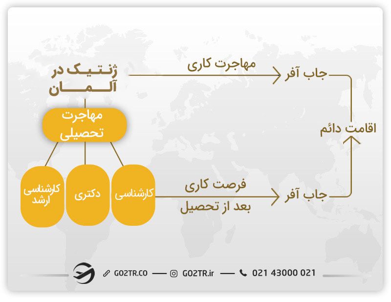 راه های تبدیل شدن به یک متخصص ژنتیک در آلمان