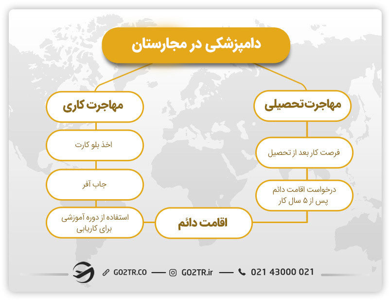 تصویری از راه‌های مهاجرت به مجارستان از طریق دامپزشکی