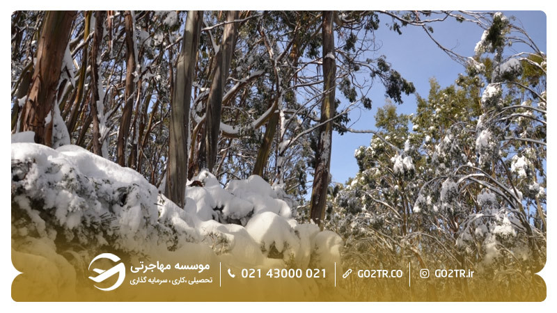 زمستان شهر ملبورن استرالیا