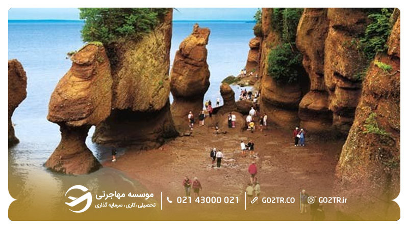 خلیج فاندی