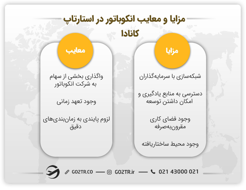 مزایا و معایب انکوباتور در استارتاپ کانادا