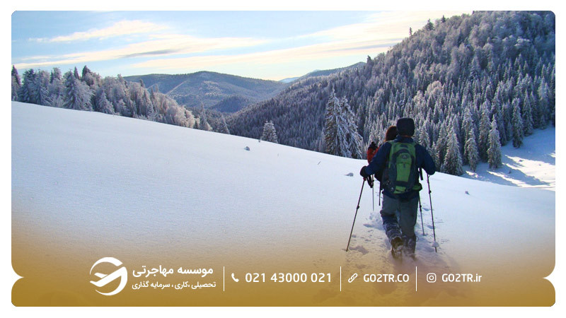 کوهههای کارپات در زمستان