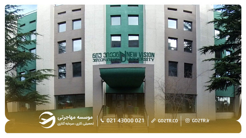 دانشگاه نیوویژن گرجستان