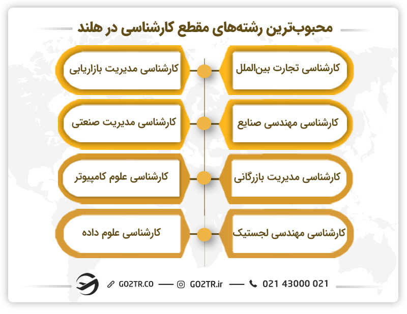 محبوبترین رشتهها جهت تحصیل کارشناسی در هلند