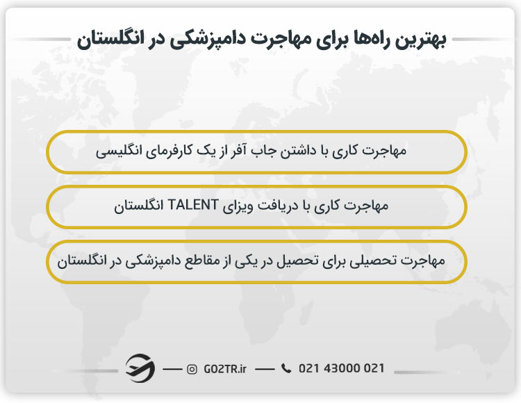بهترین راه‌ها برای مهاجرت دامپزشکی در انگلستان