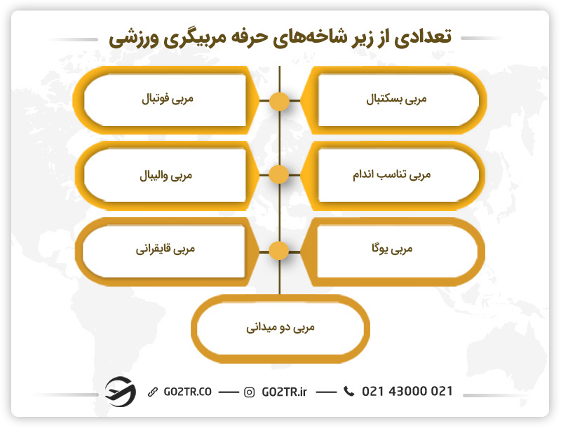 تعدادی از زیر شاخههای حرفه مربیگری ورزشی