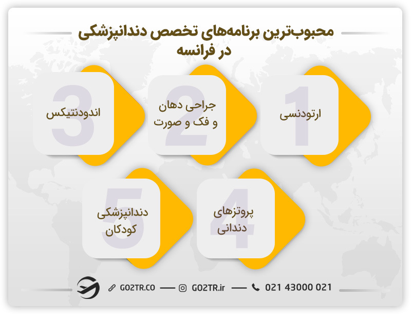 بهترین رشته های تخصص دندانپزشکی در فرانسه