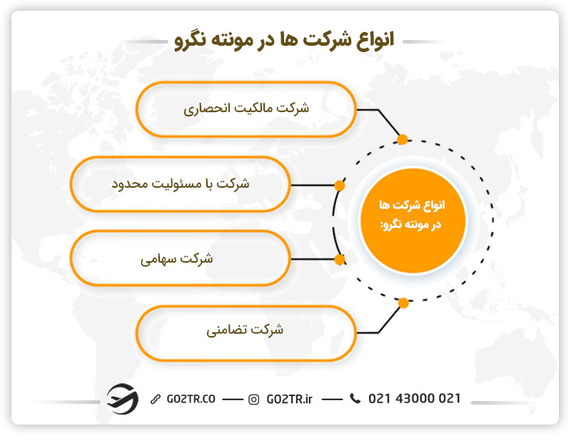 انواع شرکت‌ها در مونته نگرو