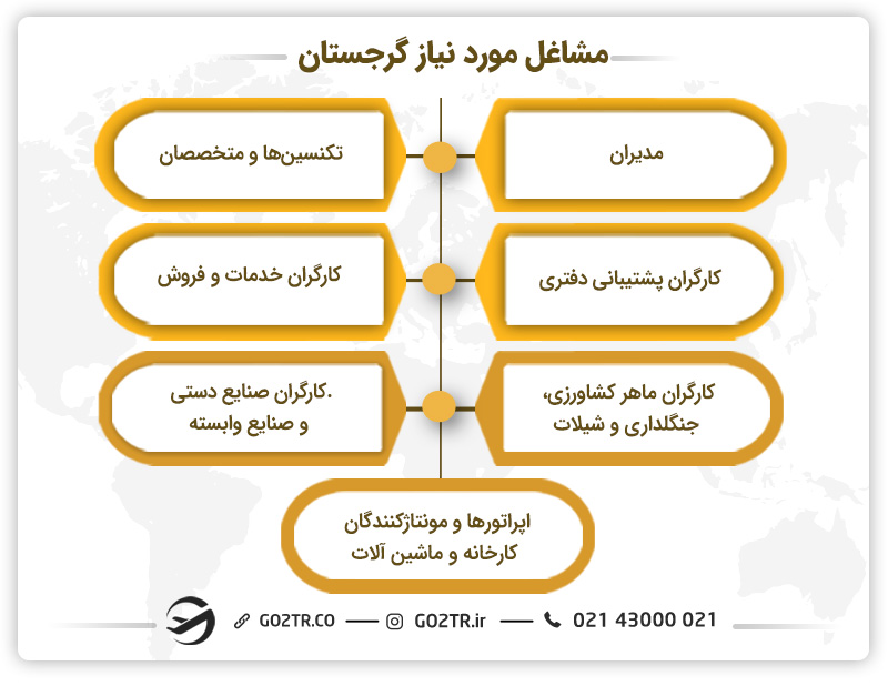 مشاغل مورد نیاز گرجستان در سال ۲۰۲۴