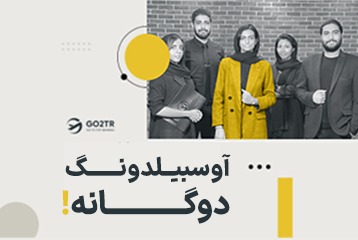 آوسبیلدونگ دوگانه