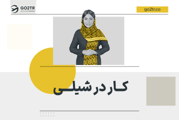 کار در شیلی