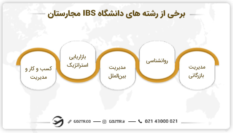 برخی از رشته‌های دانشگاه IBS مجارستان