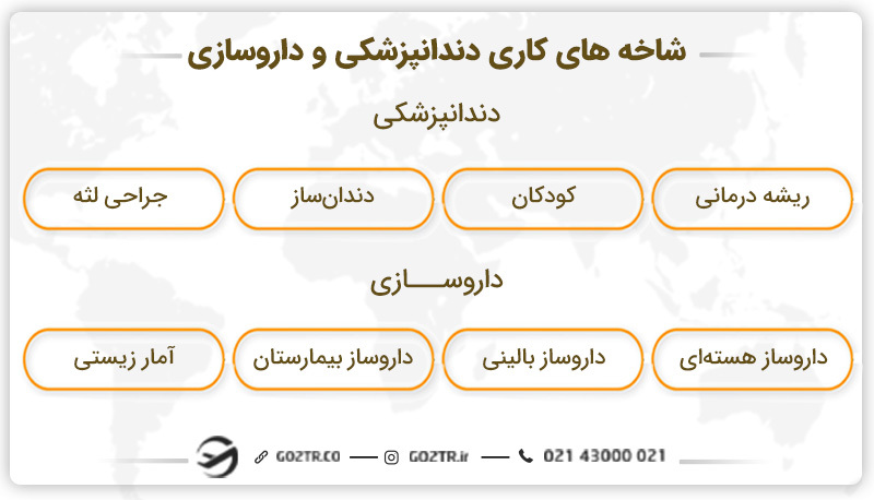 بازار کار دندانپزشکی یا داروسازی؟