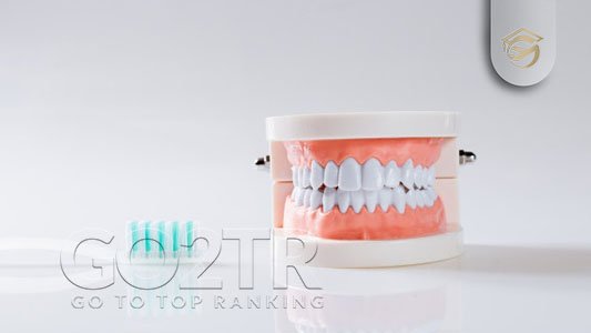 تخصص دندانپزشکی در شیلی و شرایط اخذ پذیرش تخصص دندانپزشکی در شیلی