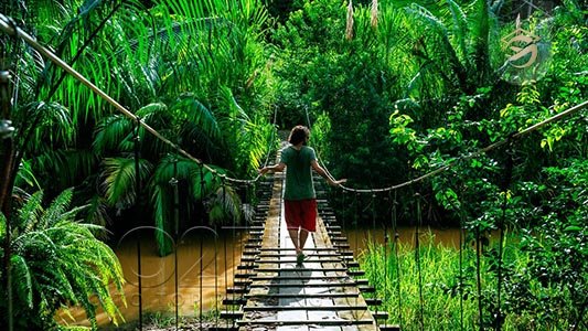 جاذبه های طبیعی در کاستاریکا