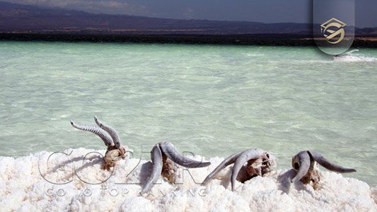 جاذبه های طبیعی در جیبوتی