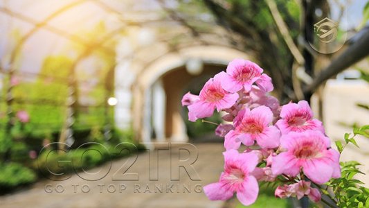جغرافیا و شرایط آب و هوایی زیمبابوه