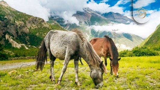 جاذبه های طبیعی در نپال