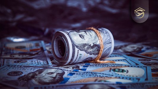 میانگین درآمد در تونگا