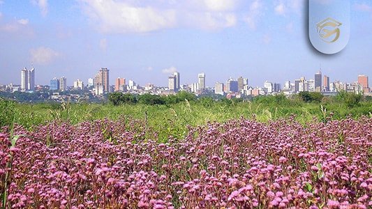 آب و هوای پاراگوئه