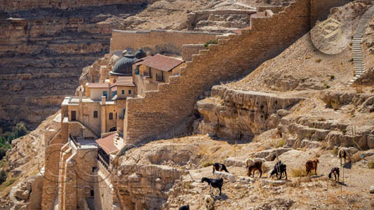 جاذبه های گردشگری و اماکن معروف فلسطین