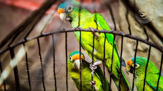 خلاصه ای از جغرافیای نیکاراگوئه