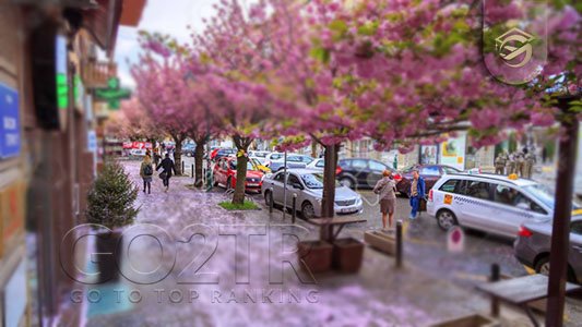حمل و نقل درون شهری و هزینه های آن در مقدونیه