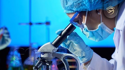 تحصیل در سایر رشته‌های موجود در دانشگاه لوند سوئد
