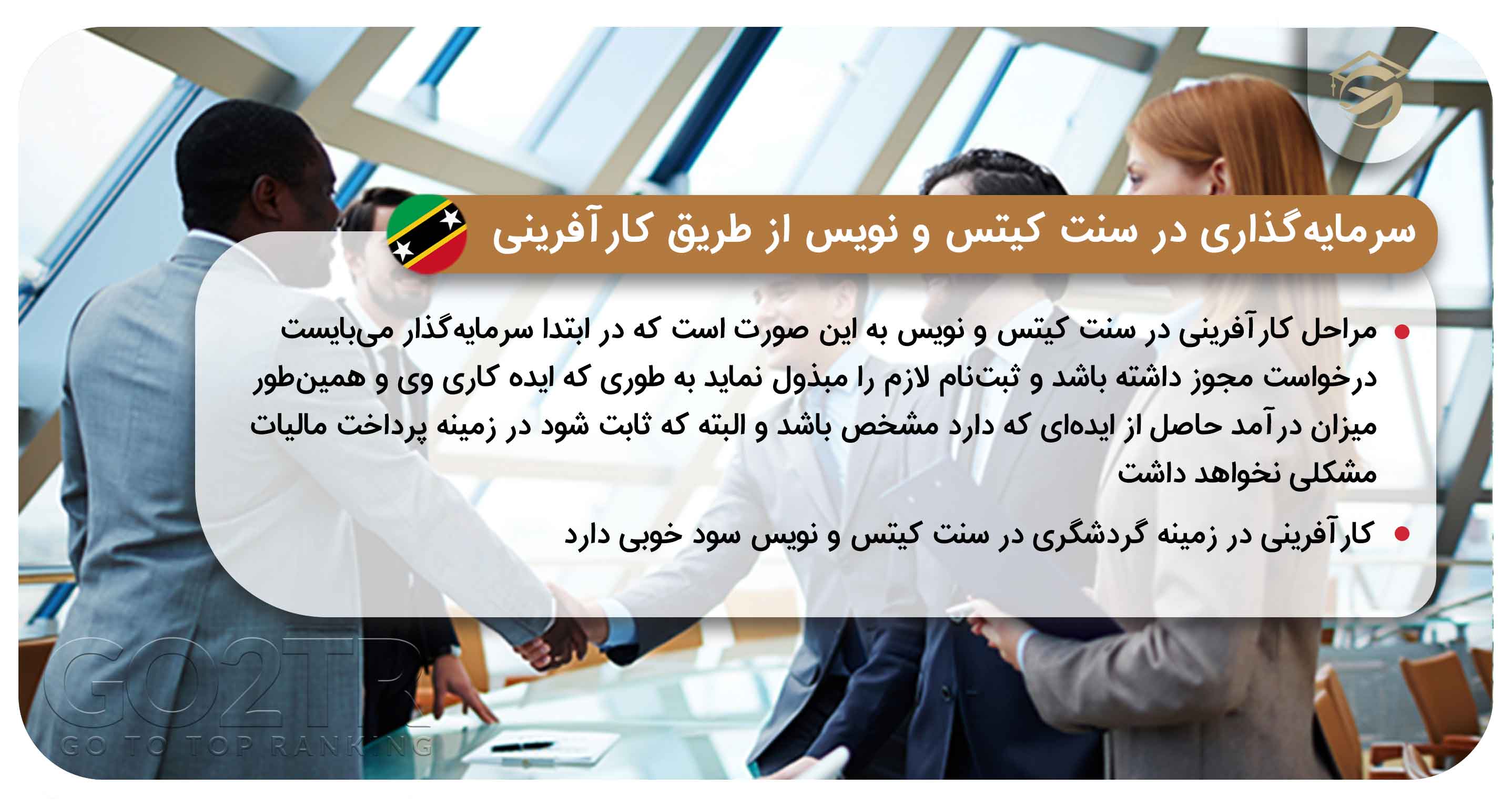 سرمایه گذاری سنت کیتس و نویس